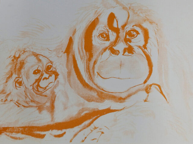 Thora Talling Thora Talling