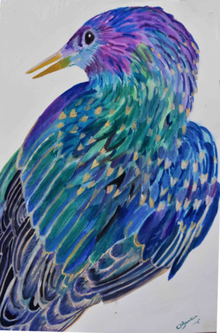 Starling Study by Vanessa Bamkin