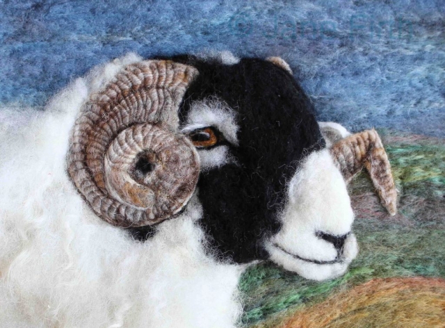 Swaledale Ram by Jane Firth