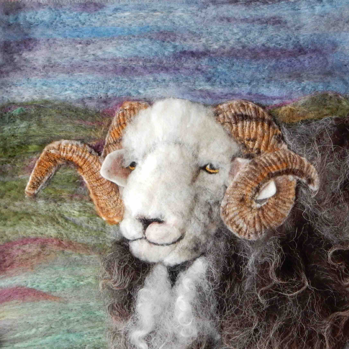 Watermillock Herdwick by Jane Firth