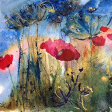 Elizabeth Acland Elizabeth Acland