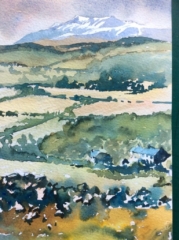 Mark Bradley