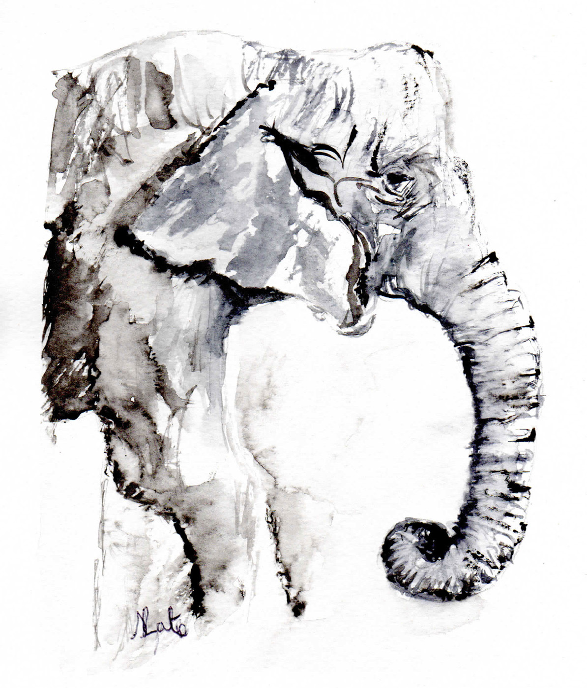 Elephant by Susan Gate