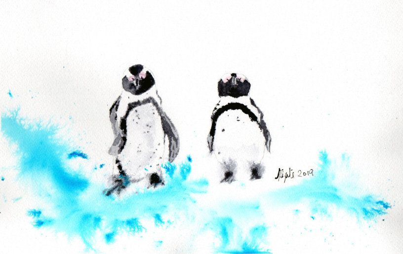 Penguin by Susan Gate