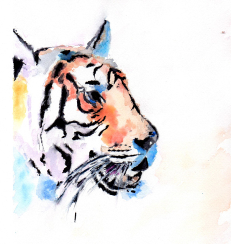 Tiger by Susan Gate