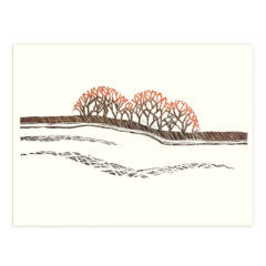 Sun DIpped Trees. Linocut print by Emily Brooks Sun DIpped Trees. Linocut print by Emily Brooks