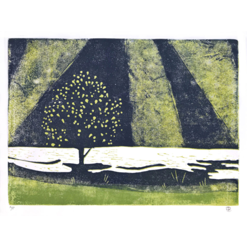 Tree and Rays, Reduction linocut Print by Emily Brooks