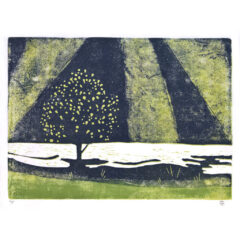 Tree and Rays, Reduction linocut Print by Emily Brooks Tree and Rays, Reduction linocut Print by Emily Brooks