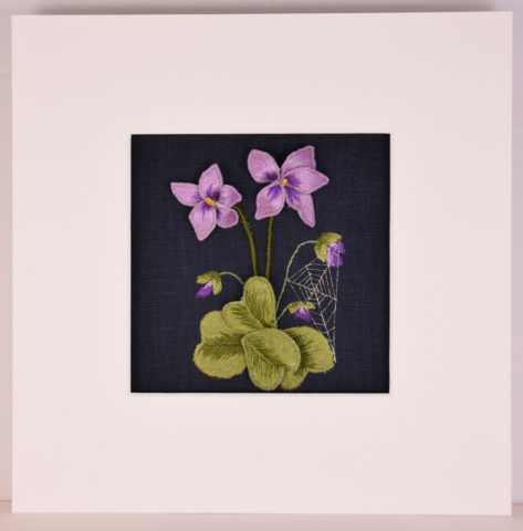 Susan Jefferson - violets