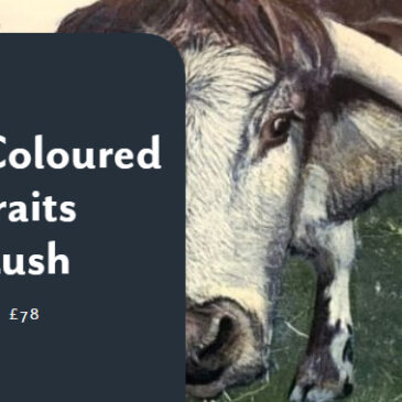 Cyanotype Coloured Animal Portraits with David Lush