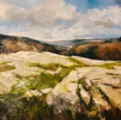 Debbie Adkins