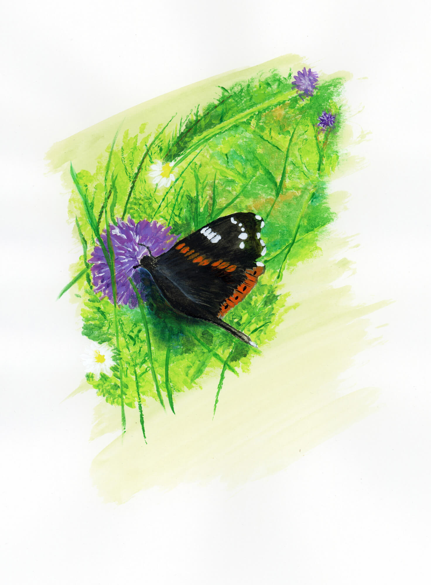 red admiral 1 by Janie Robinson