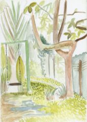 Garden in Sri Lanka, Watercolour by Caroline Lumsden