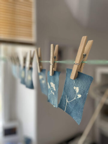 Cyanotype by Sara Dobson