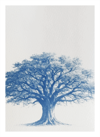 Oak Tree by Sara Dobson